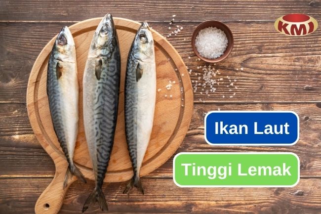 Mari Kenali 10 Ikan Laut Tinggi Lemak